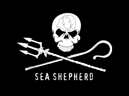 Logo Sea Sheperd